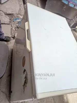 Deep Freezer 300l