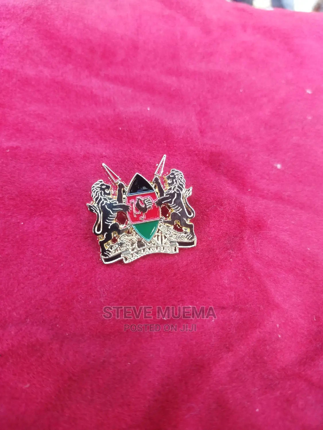 Coat of Arms Lapel Pin