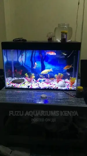 Aquarium for Home