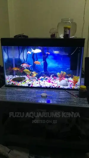 Aquarium With Fish