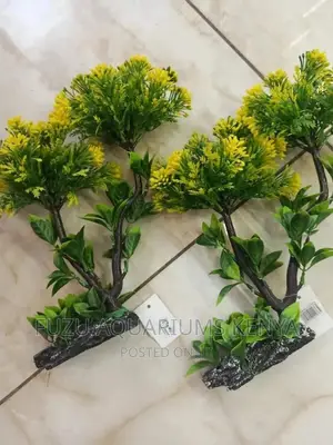 Beautiful Aquarium Plants