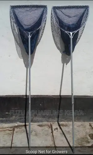 Scoop Net Fish