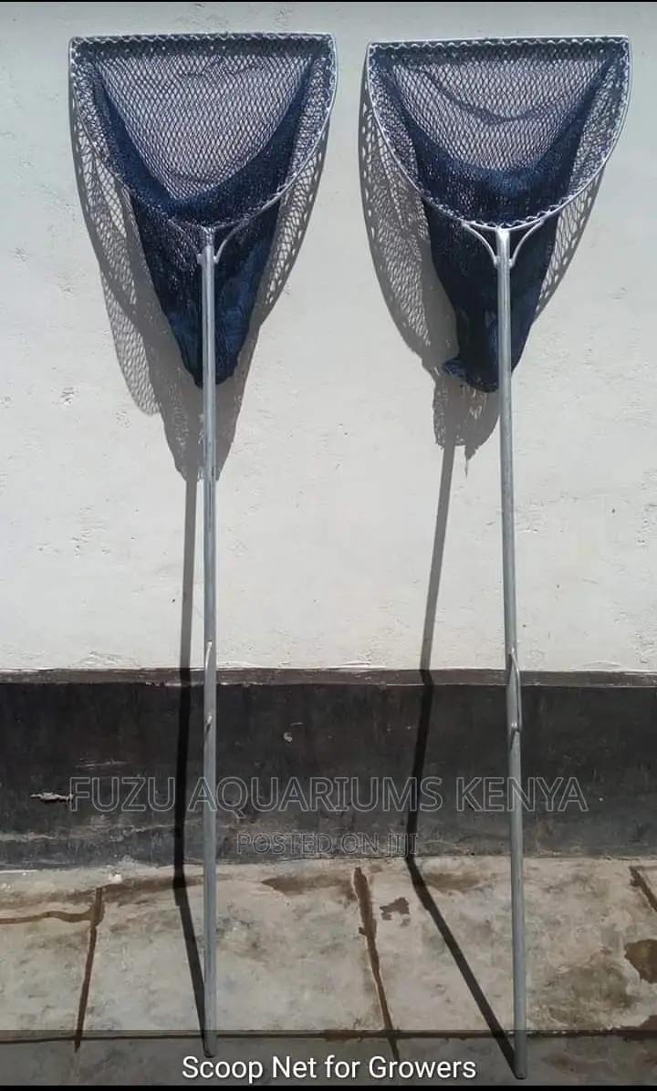 Scoop Net Fish