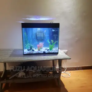 Aquarium With 10fish
