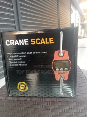 300kg Crane Scale