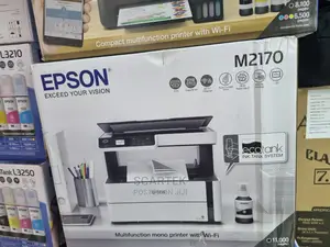 Epson M2170 Ink Jet Printer