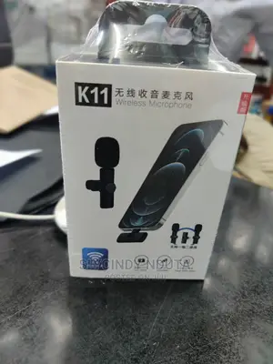  Wireless Microphone