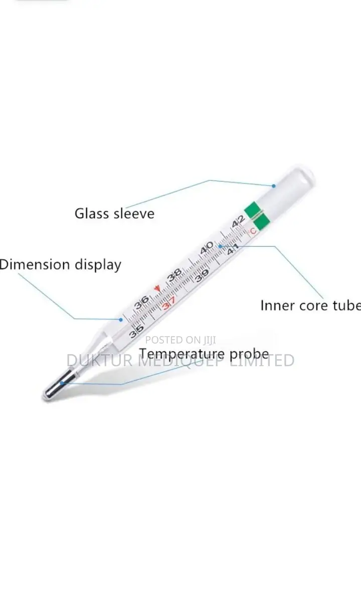 Mercury Scale Thermometer