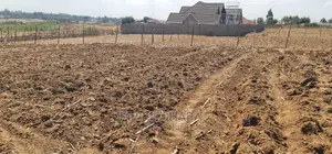 1⁄4 Plot for Sale in Before Kipkorgot Eldore
