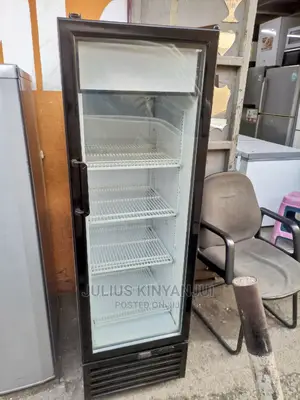 Display Fridge 300l