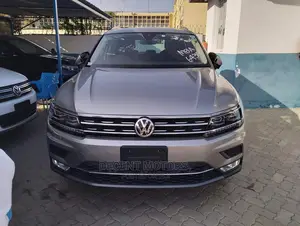 Volkswagen Tiguan 2017 Gray