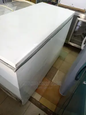 450l Deep Freezer