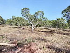 Mvindeni 12 Acres Prime Property