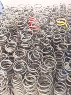 Lexus Heavy Duty Springs