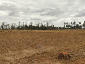 2 Acres Nanyuki/Ngarishia