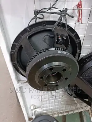 Derwel 12 Inch Naked Speaker