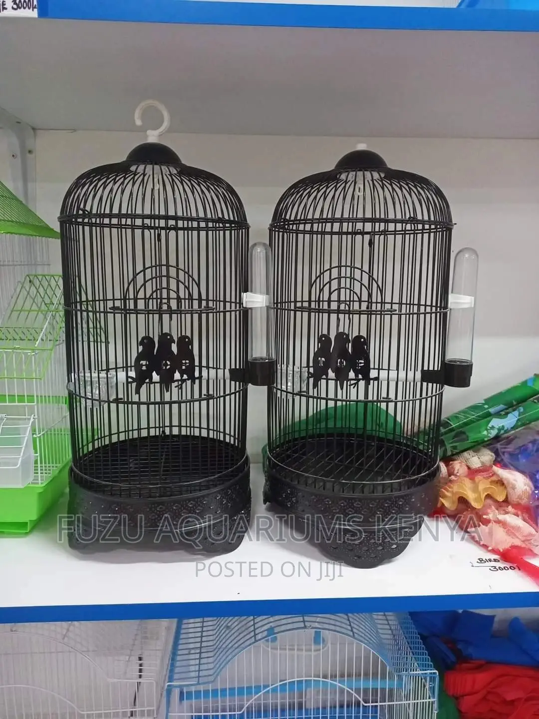 Black Bird Cage