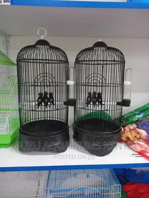 Black Bird Cage