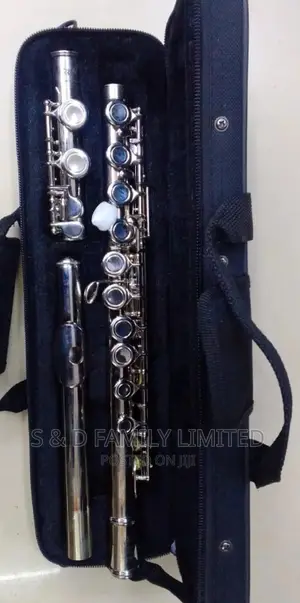 Proffessional Flute
