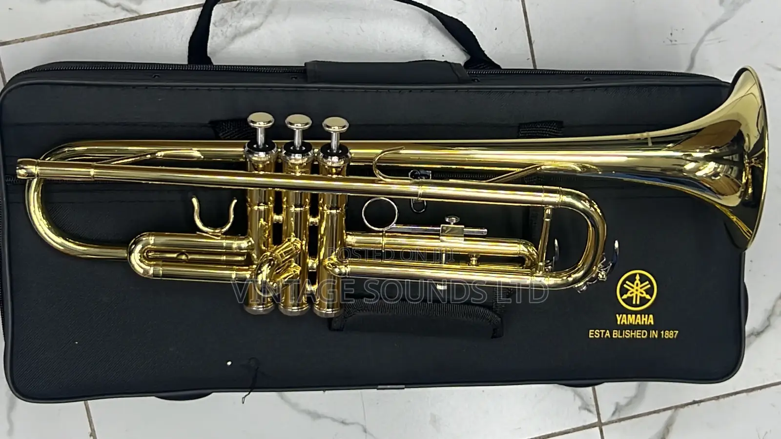 New Professional Bb Trumpet