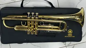 New Professional Bb Trumpet
