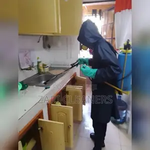 Kitchen Cabinets Fumigation in Mwiki