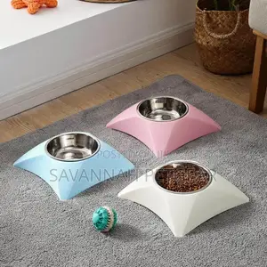 Pyramid Elevated Cat Bowl
