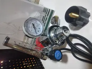 Gas Regulator Co2