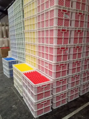 For Transportation Eggs