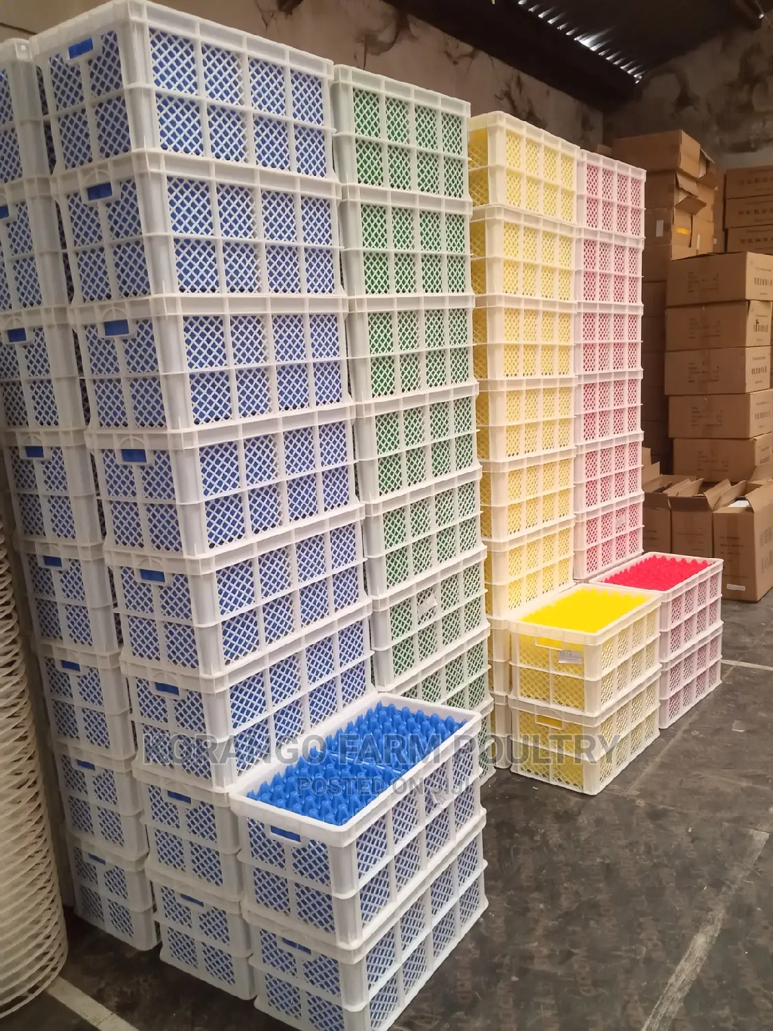 For Transportation Eggs