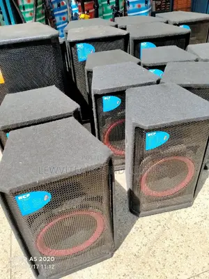 Complete 12 Inch Speaker