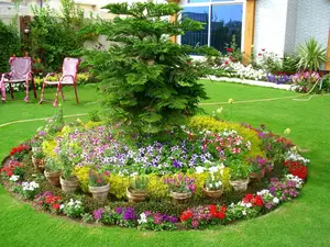 Landscaping and Garden Designing