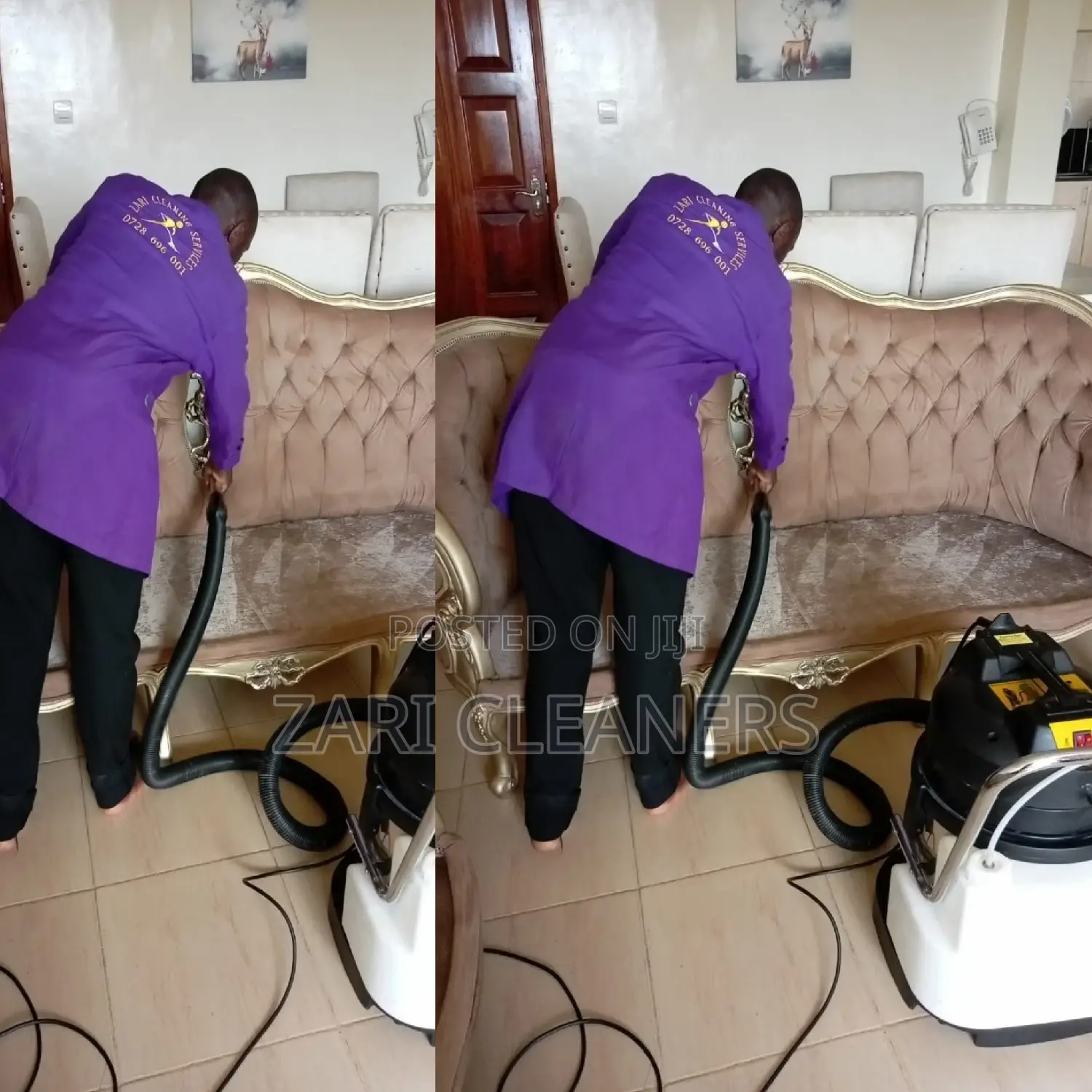 Professional Sofa Cleaning Services In