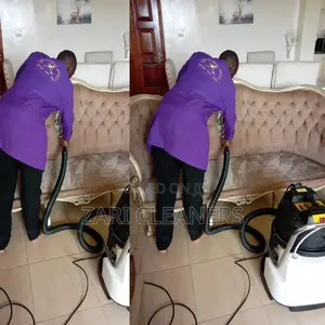Professional Sofa Cleaning Services In