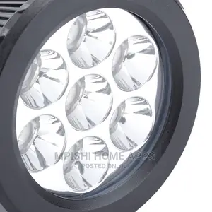 Solar Spotlight Warm/White