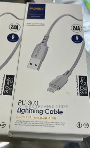 Punex 2metres iPhone Cable.