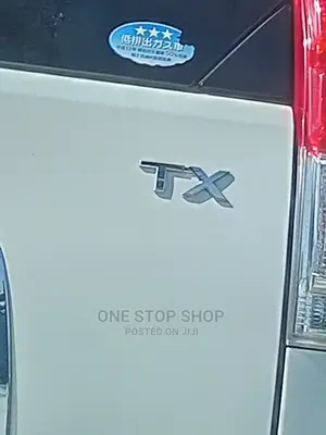 Car Fitted With TX Chrome Replacement Badge
