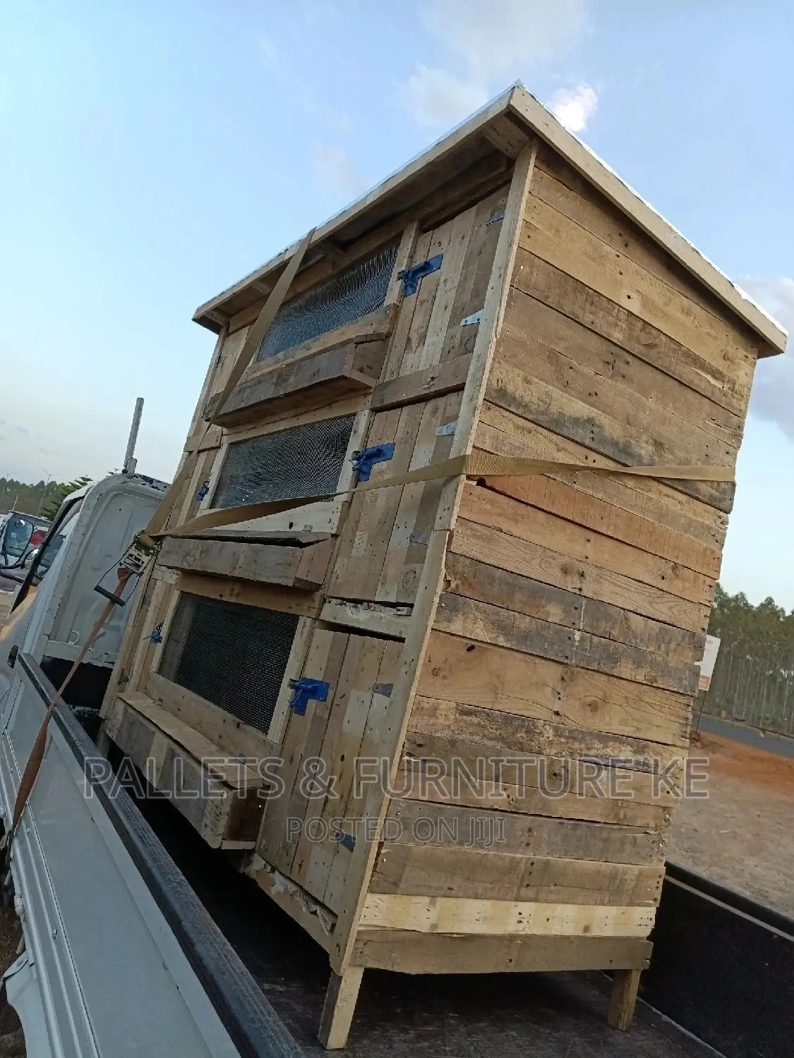 Big Chicken Cage