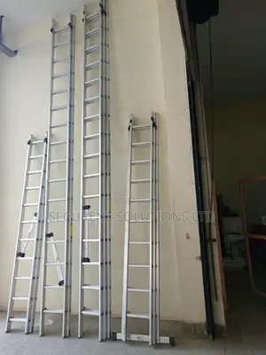 Aluminum Double Triple Extension Ladders