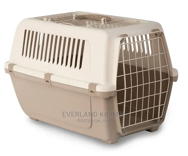 Pet Travel Carrier