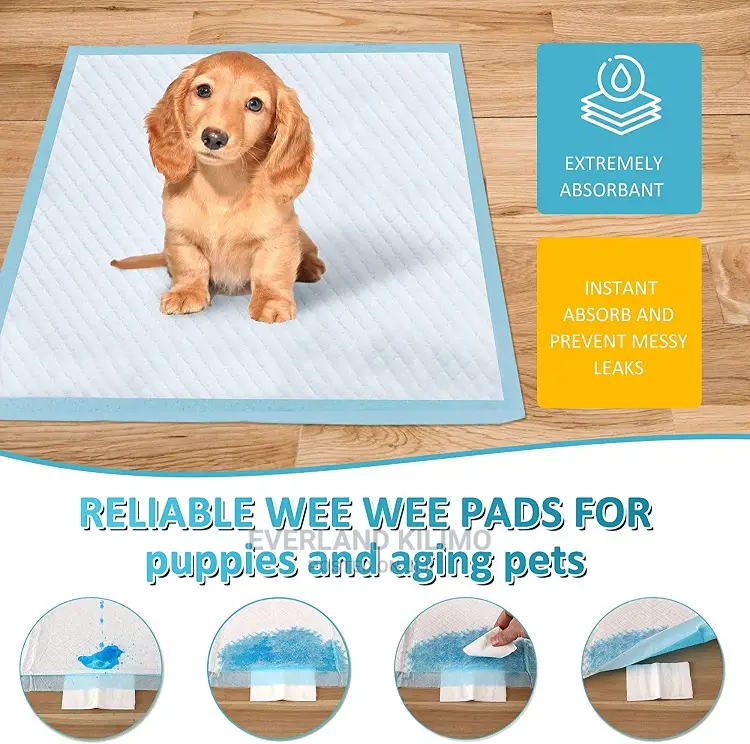 Pet Pee Training Pads