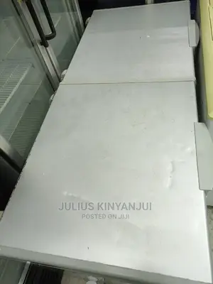 Double Door Freezer