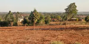 50 by 100 Plots for Sale at Kamangu