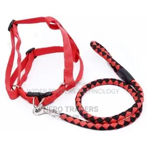 Dog Leash Medium