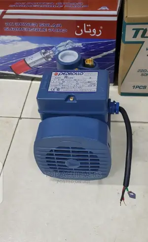 Pedrollo Water Pump