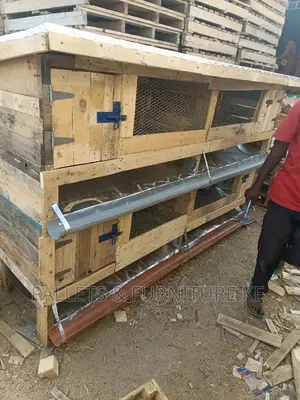 Chicken/ Rabbit Cage .