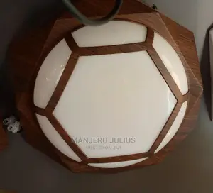 Led Ceiling Light