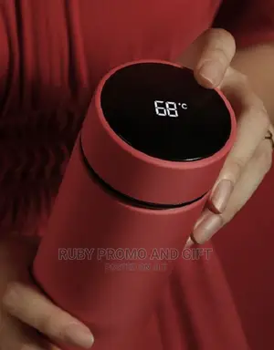 LED Temperature Display Thermo Bottles