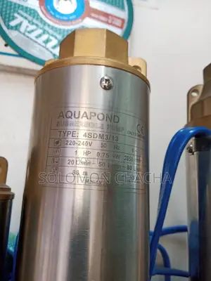 Aquapond 1hp Submersible Pump