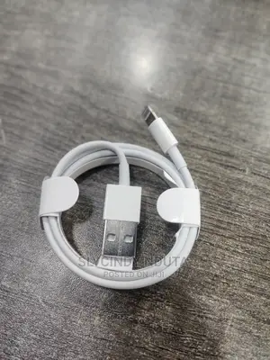 Original iPhone Charging Cables